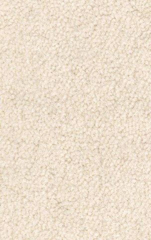 31 Flax